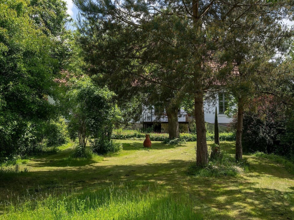 Garden [summer]