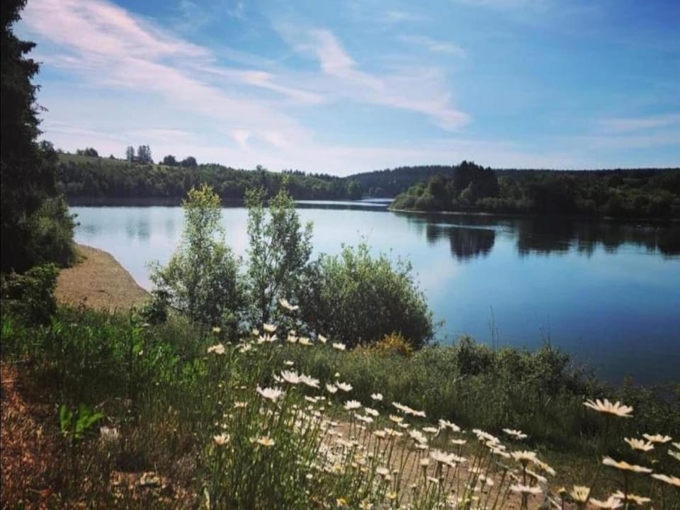 Region [summer] (>5 km)