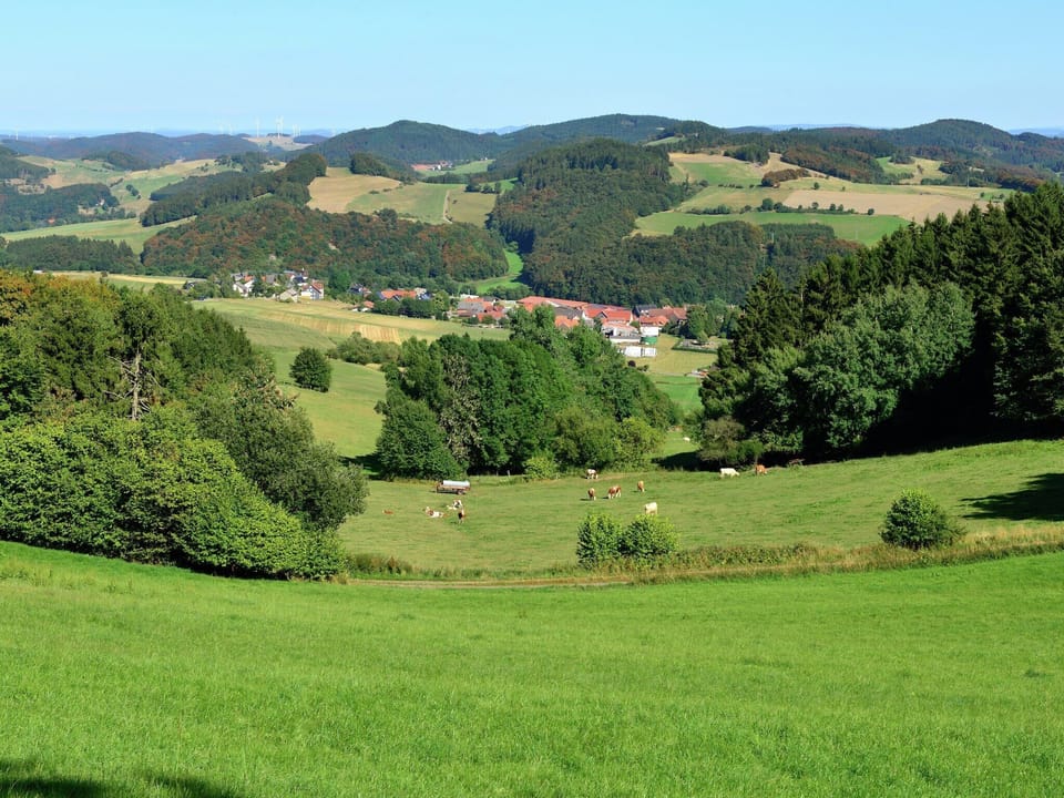 Region [summer] (>5 km)