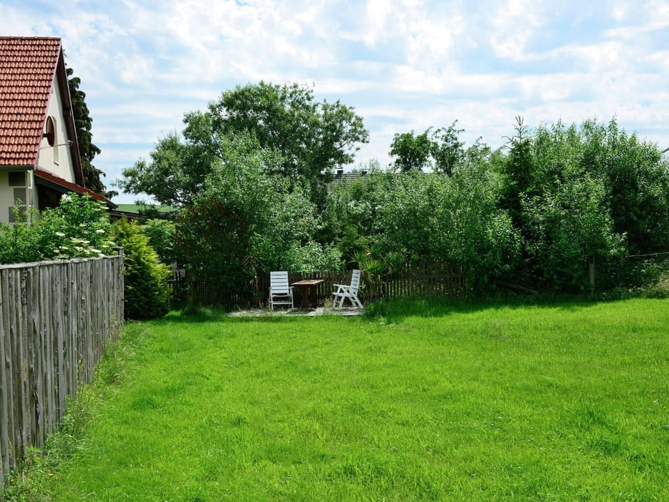 Garden [summer]
