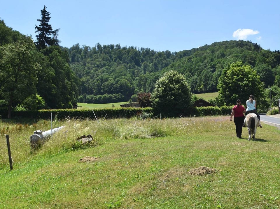 Immediate Surroundings [summer] (<1 km)