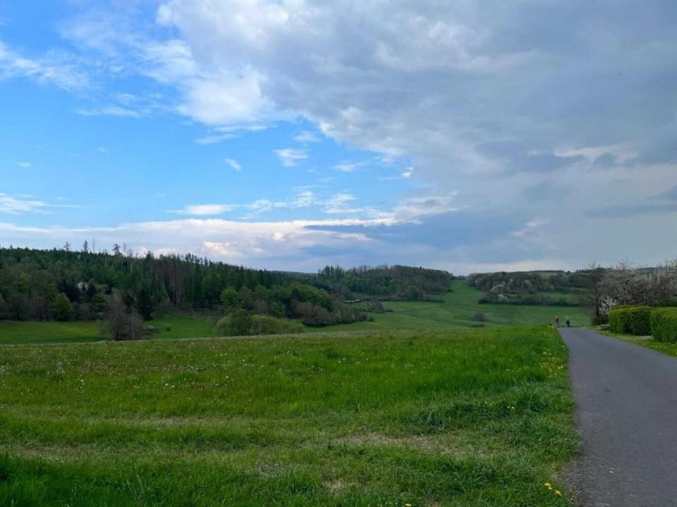 Region [summer] (>5 km)