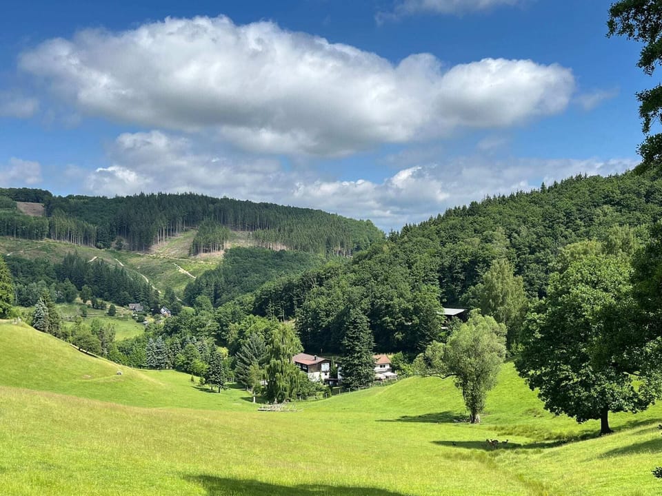 Immediate Surroundings [summer] (<1 km)