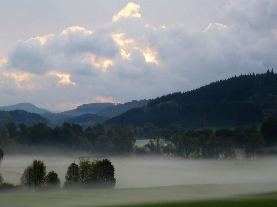 Surroundings [summer] (1-5 km)
