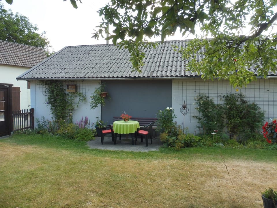 Garden [summer]