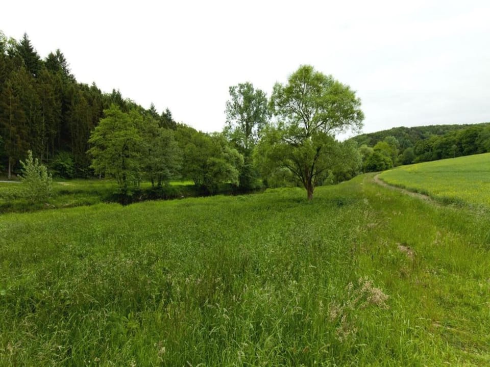 Region [summer] (>5 km)
