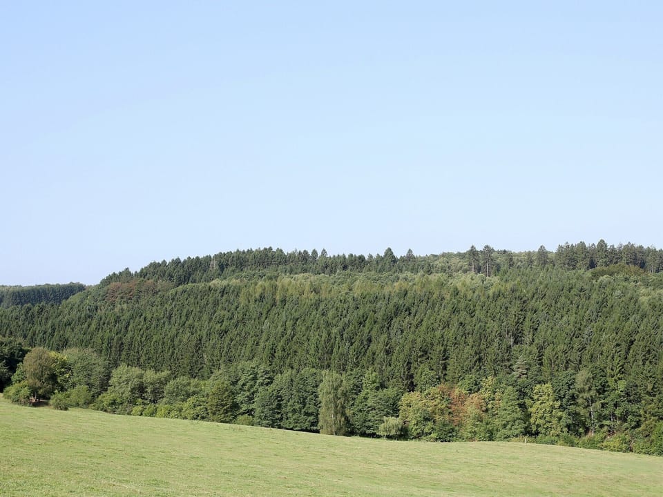 Immediate Surroundings [summer] (<1 km)