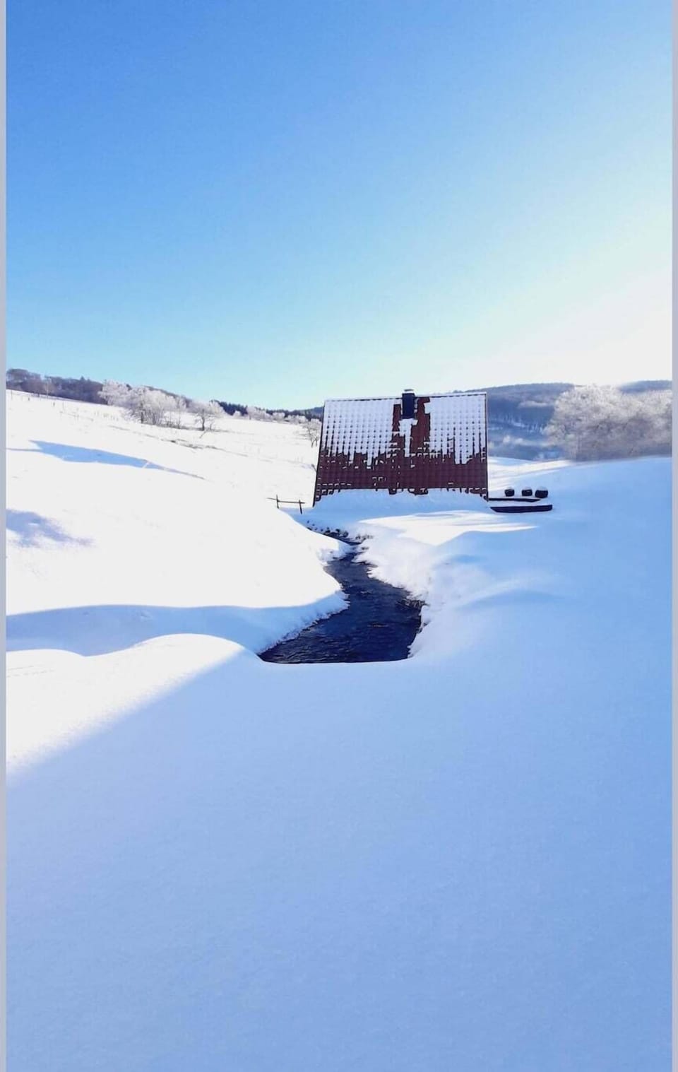 Garden [winter]