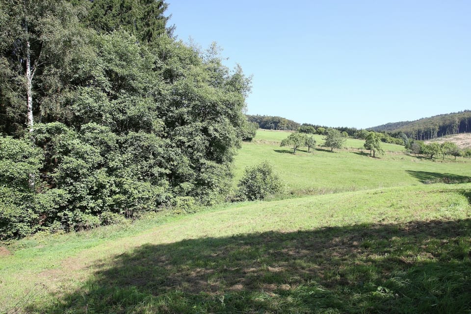 View from Holiday Home [summer]