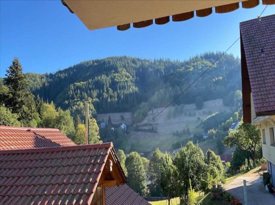 Surroundings [summer] (1-5 km)