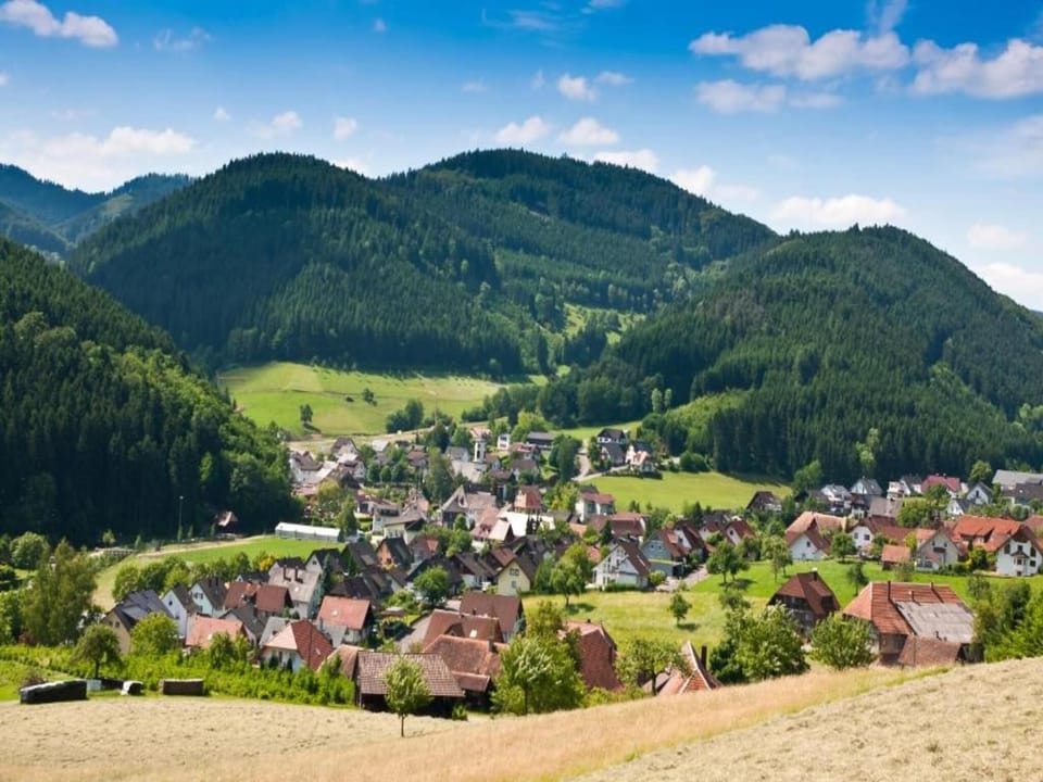 Region [summer] (>5 km)