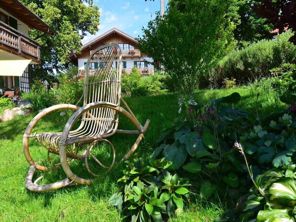 Garden [summer]
