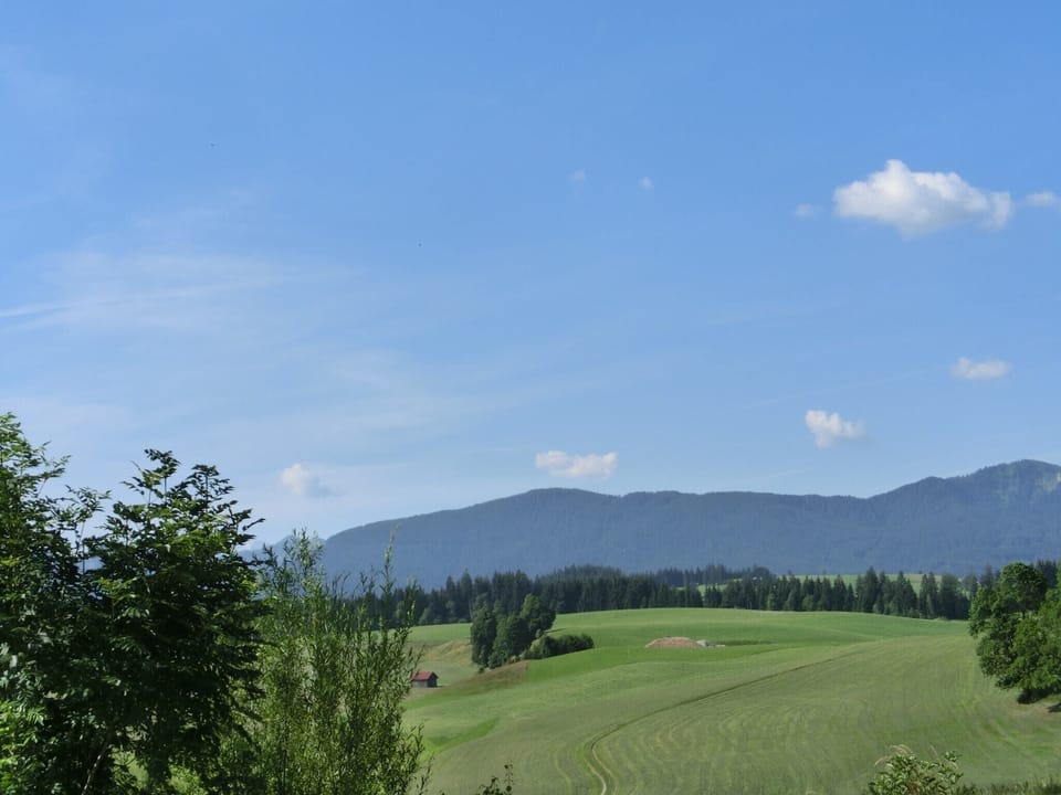 Region [summer] (>5 km)
