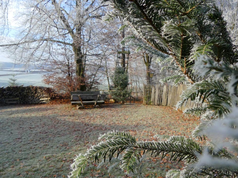 View from Holiday Home [winter]