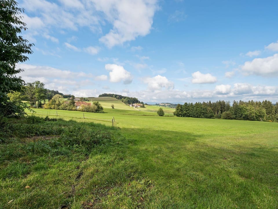Surroundings [summer] (1-5 km)