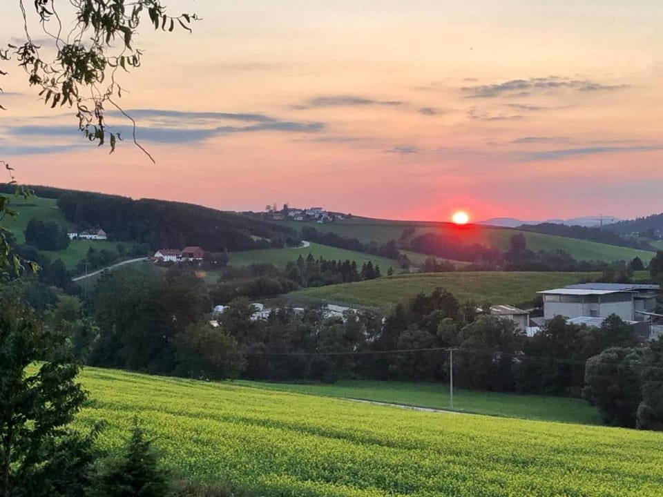 Region [summer] (>5 km)