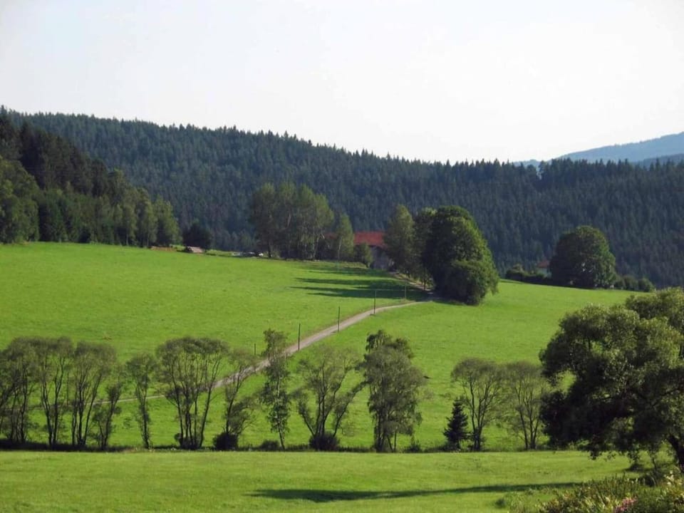 Region [summer] (>5 km)