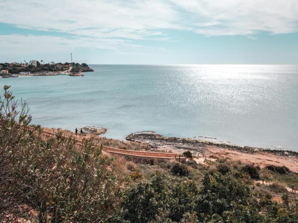 Region [summer] (>5 km)
