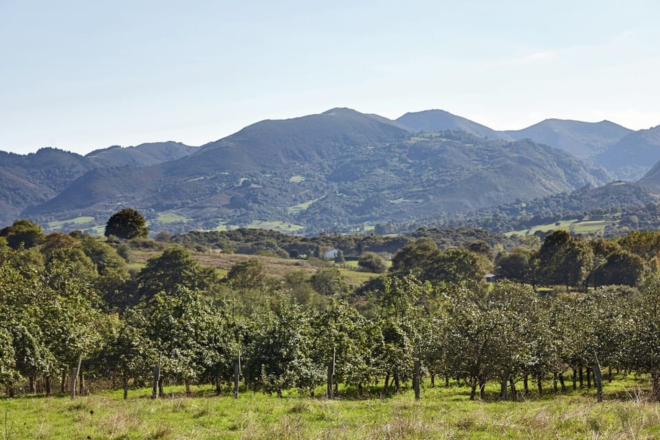 Surroundings [summer] (1-5 km)