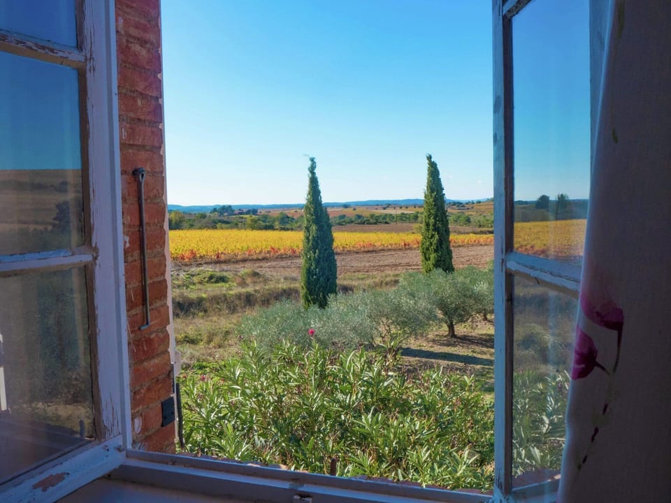 View from Holiday Home [summer]