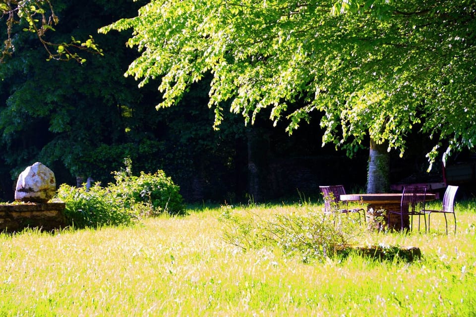 Garden [summer]