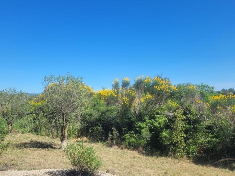 Surroundings [summer] (1-5 km)