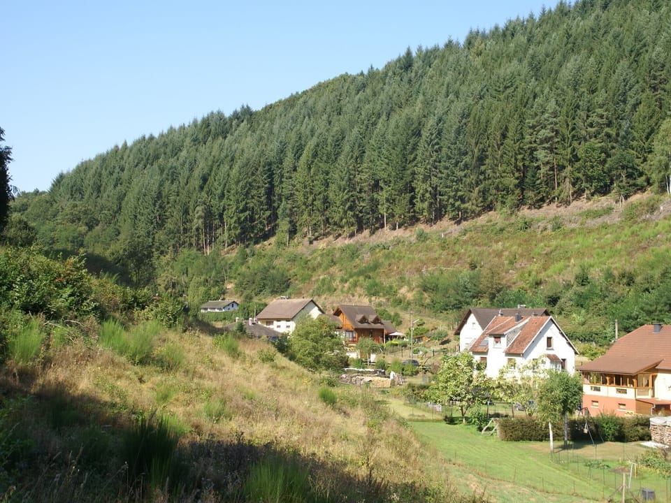 Surroundings [summer] (1-5 km)