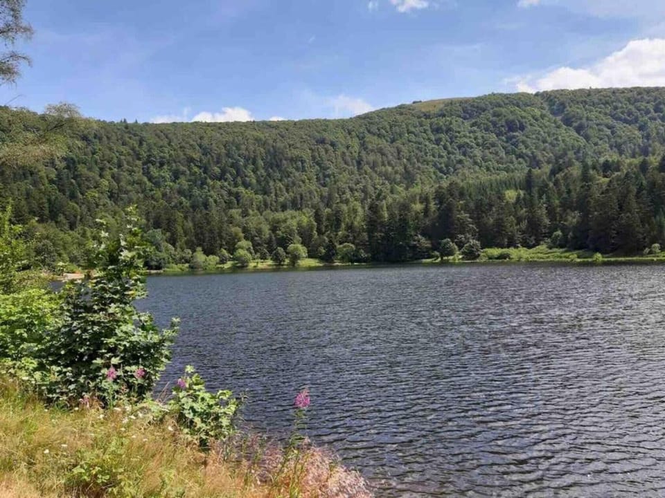 Region [summer] (>5 km)