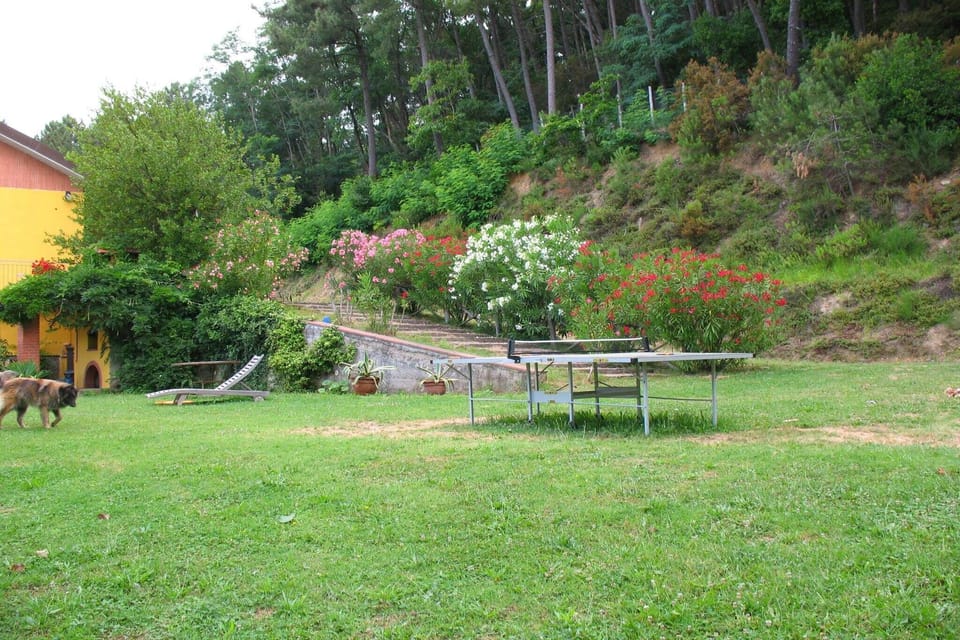Garden [summer]