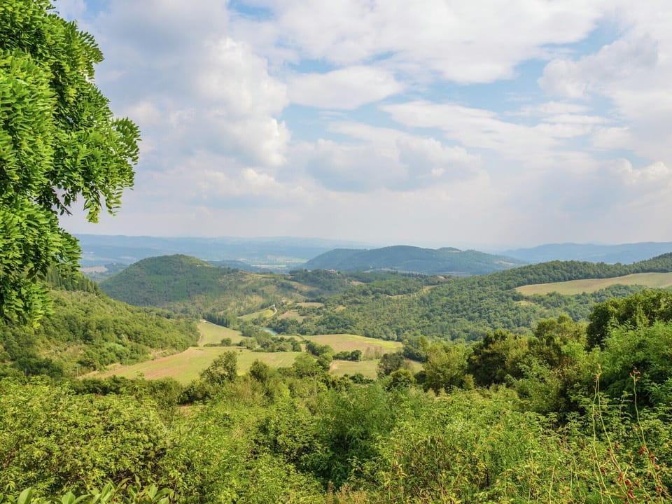 View from Holiday Home [summer]