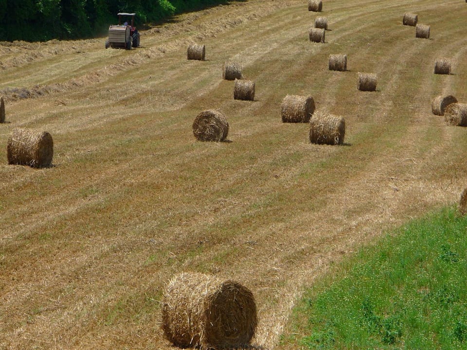 Immediate Surroundings [summer] (<1 km)