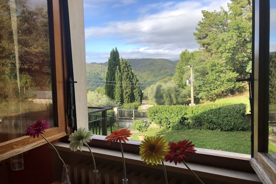 View from Holiday Home [summer]