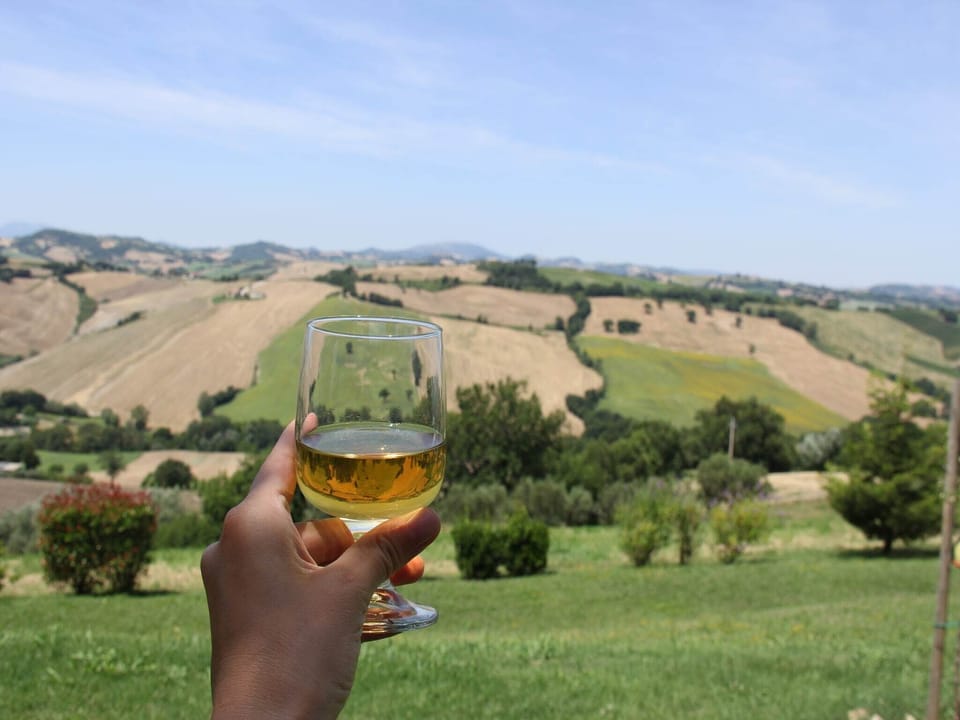 View from Holiday Home [summer]