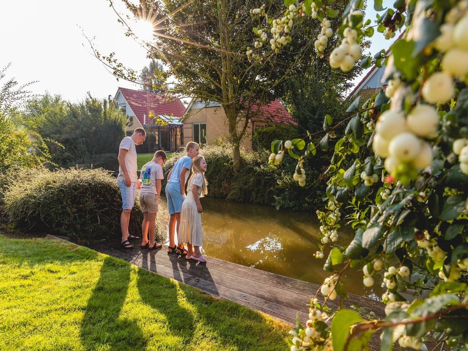 Holiday Park Facilities and Services 