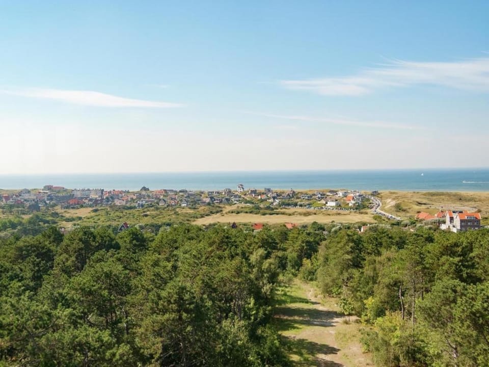 Region [summer] (>5 km)