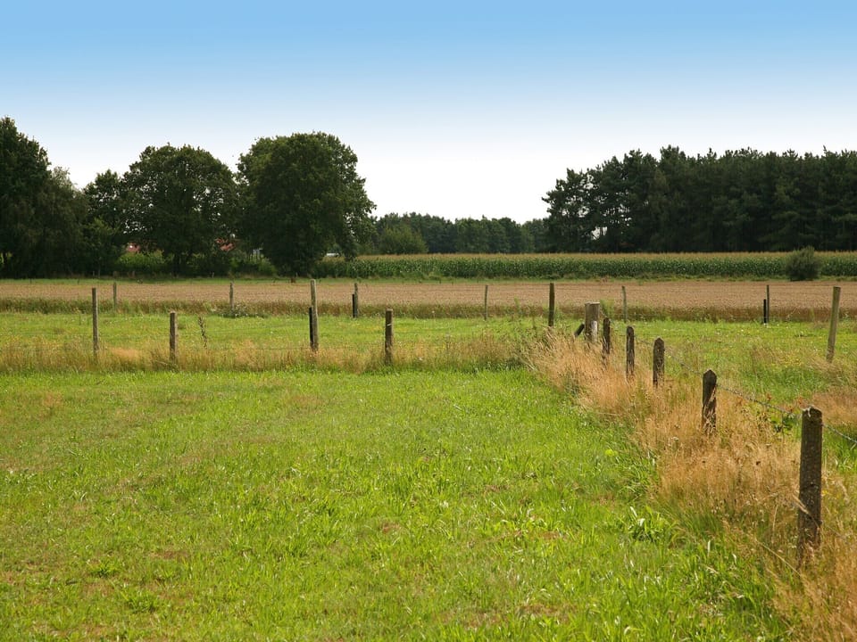 Immediate Surroundings [summer] (<1 km)
