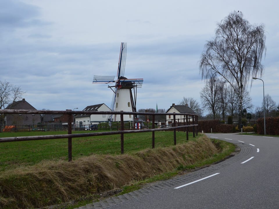 Region [summer] (>5 km)
