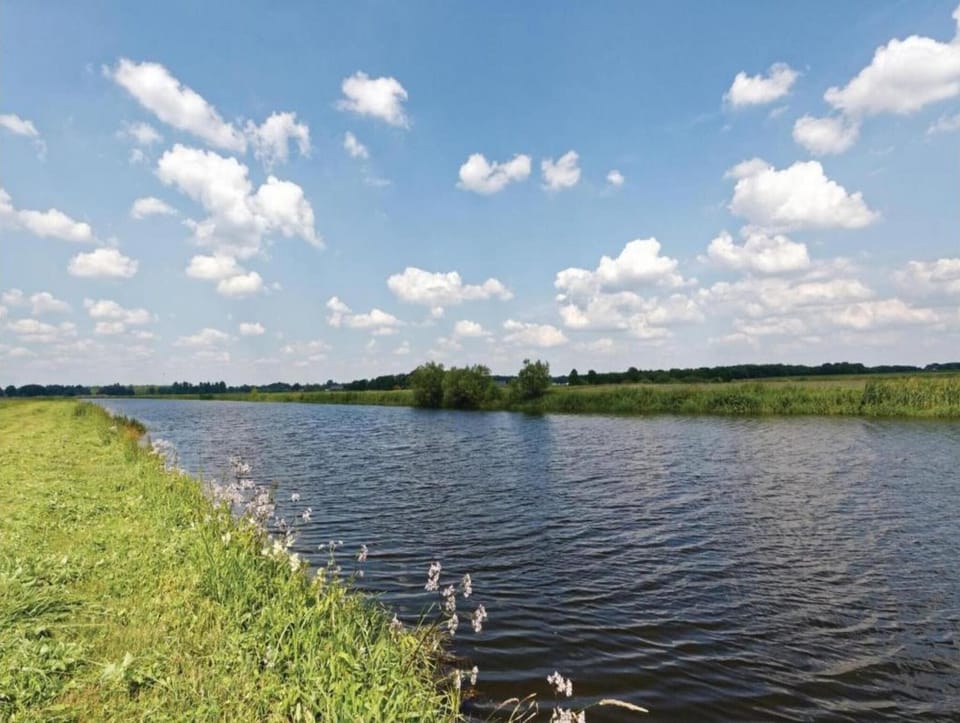 Region [summer] (>5 km)