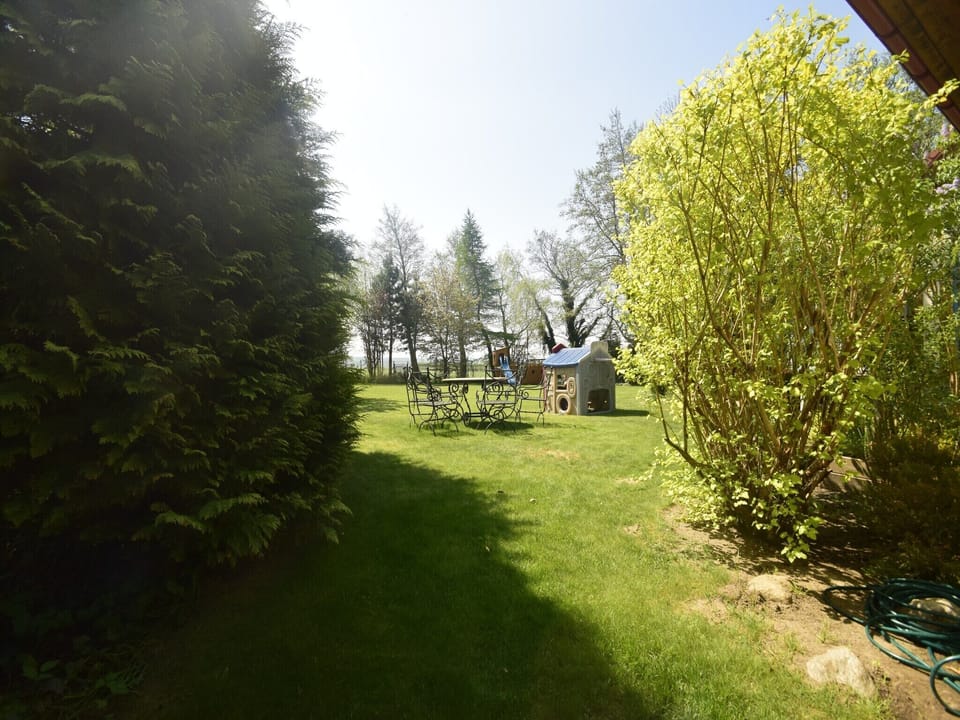 Garden [summer]