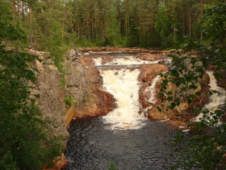 Region [summer] (>5 km)