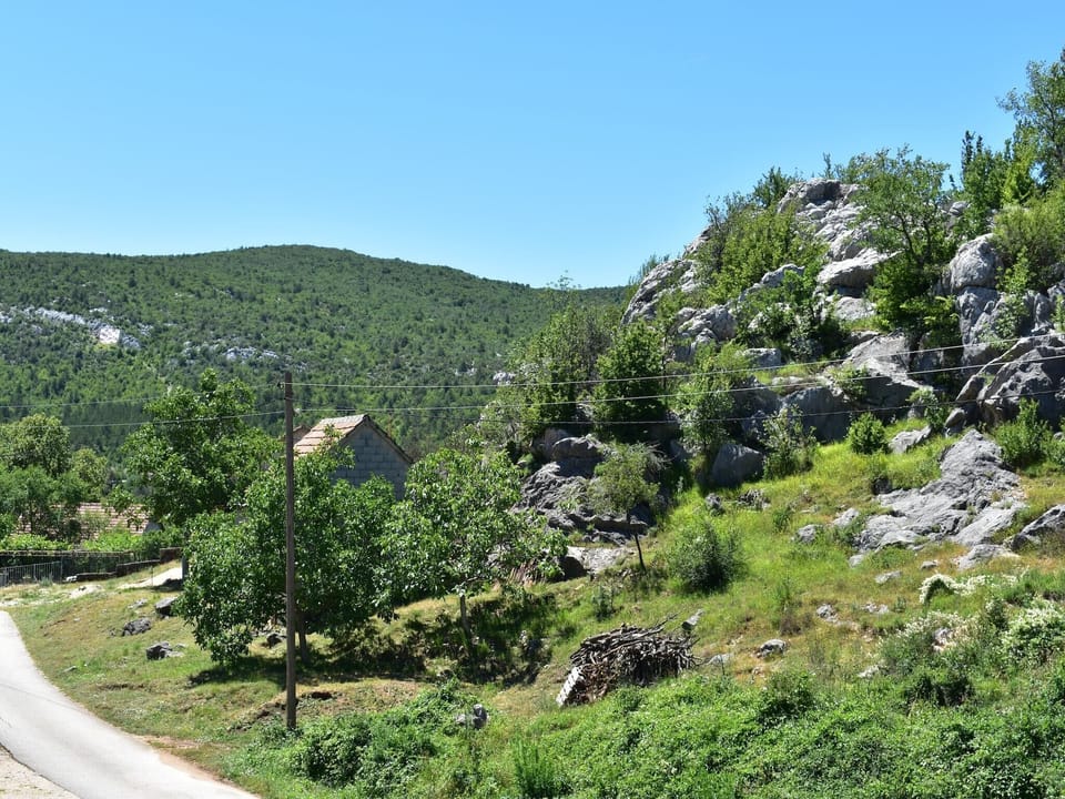 View from Holiday Home [summer]