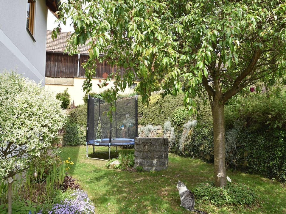 Garden [summer]