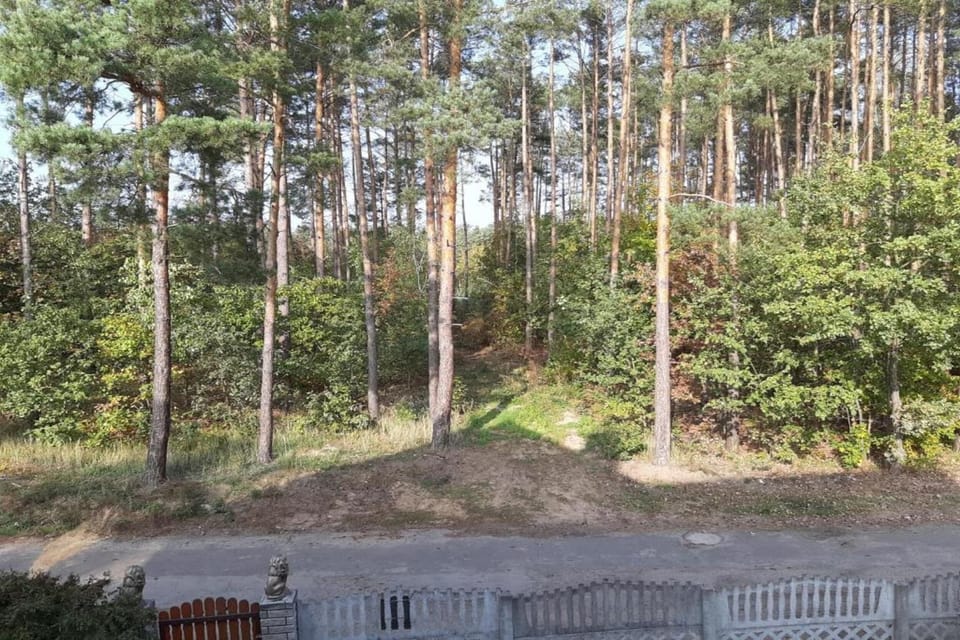 Region [summer] (>5 km)