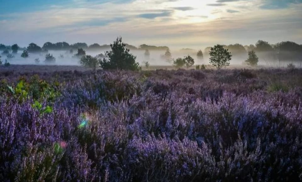 Surroundings [summer] (1-5 km)