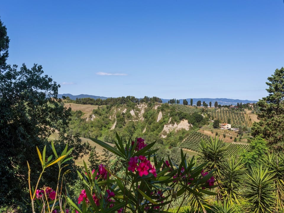 View from Holiday Home [summer]