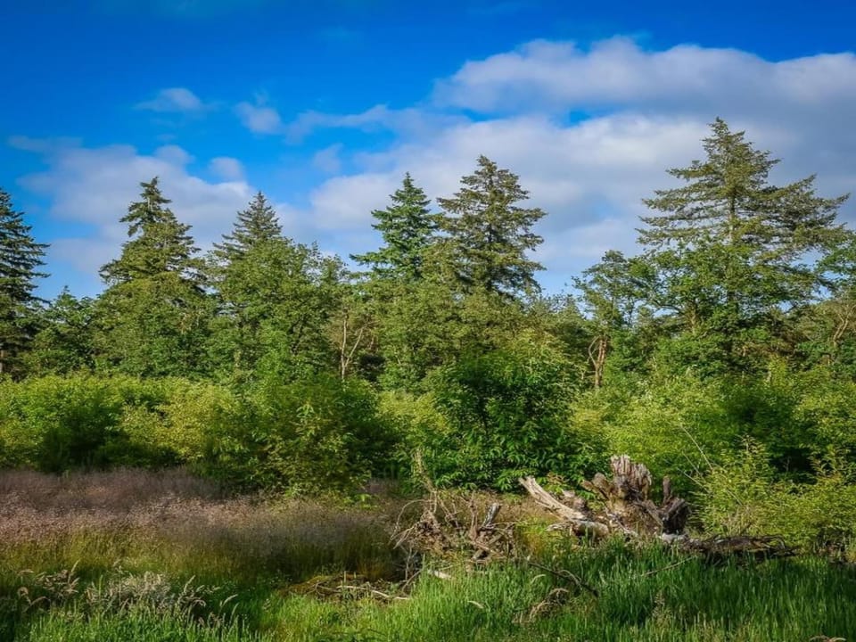 Surroundings [summer] (1-5 km)