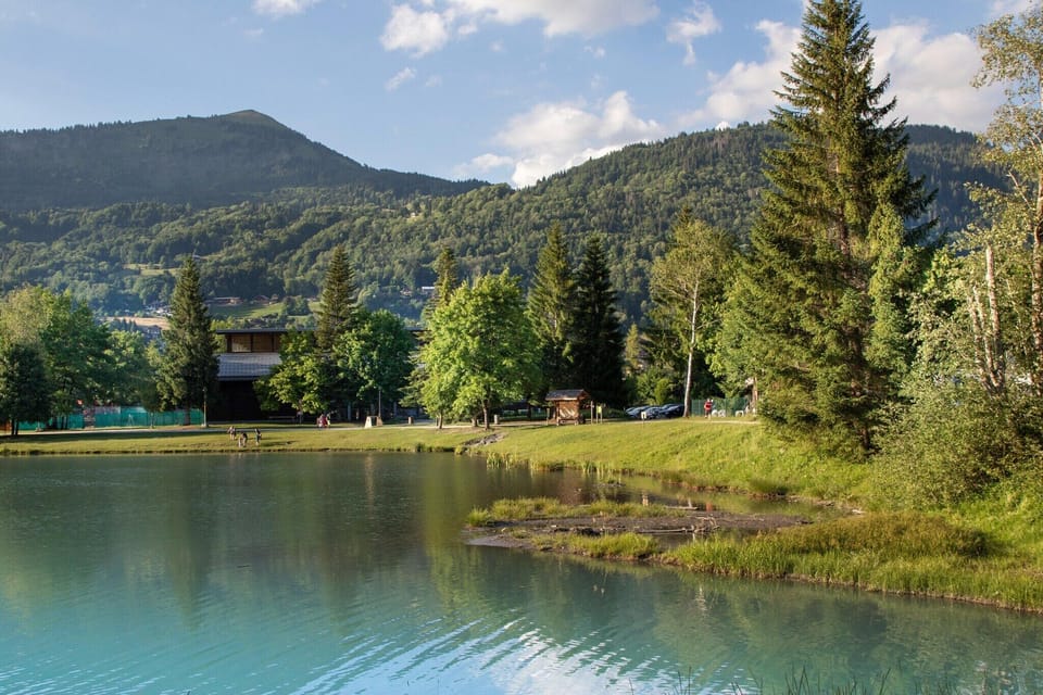Region [summer] (>5 km)