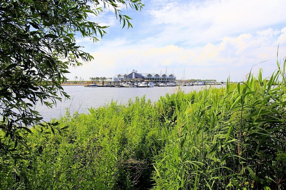 Surroundings [summer] (1-5 km)