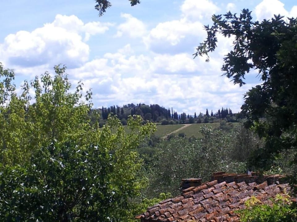Surroundings [summer] (1-5 km)