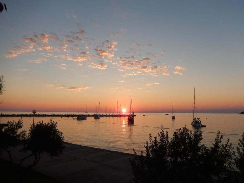 Region [summer] (>5 km)